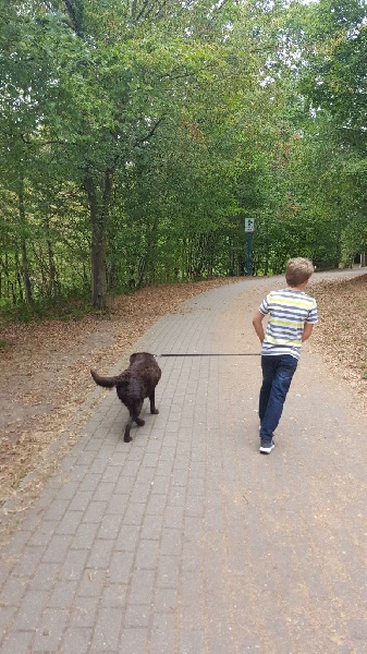 Promenade